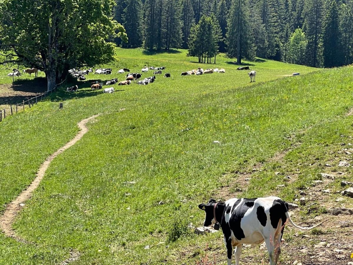 Le Locle : Bel Appartement Chaleureux Exteriör bild